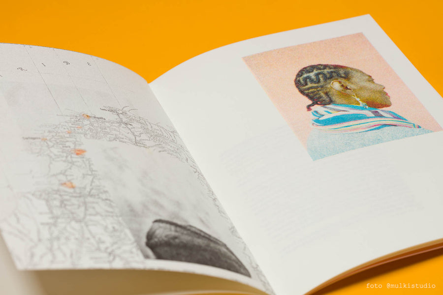 Libro Accidentes GEO gráficos