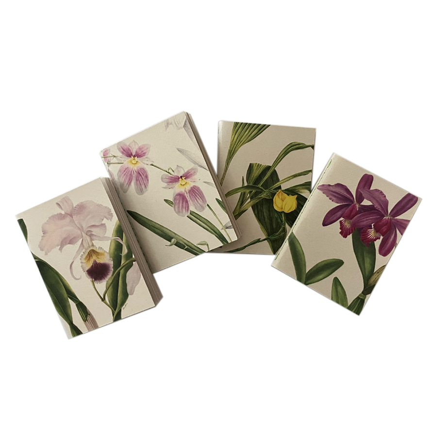 Libreta Pequeña Orquídeas - Lisa Anzellini