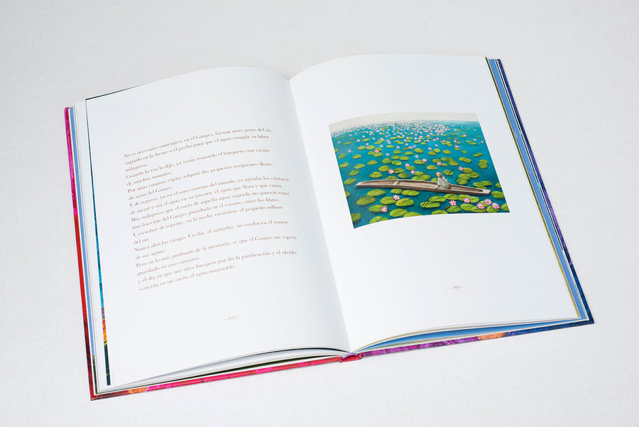 Libro Más Allá de la Aurora y el Ganges