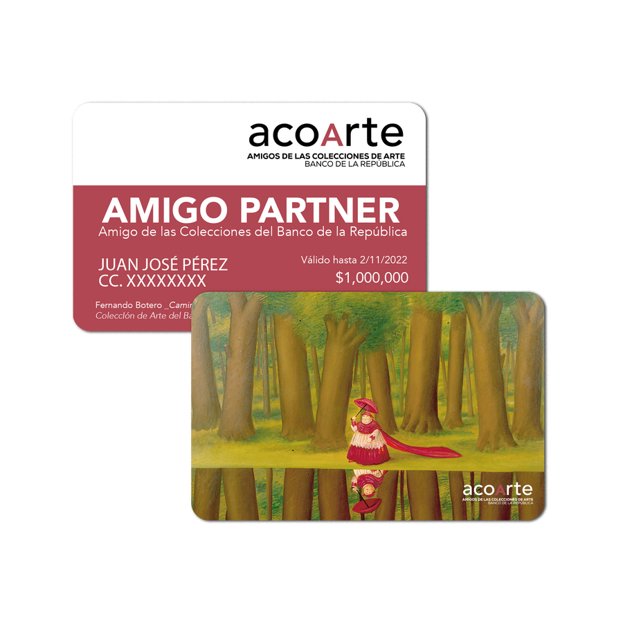 AMIGO PARTNER