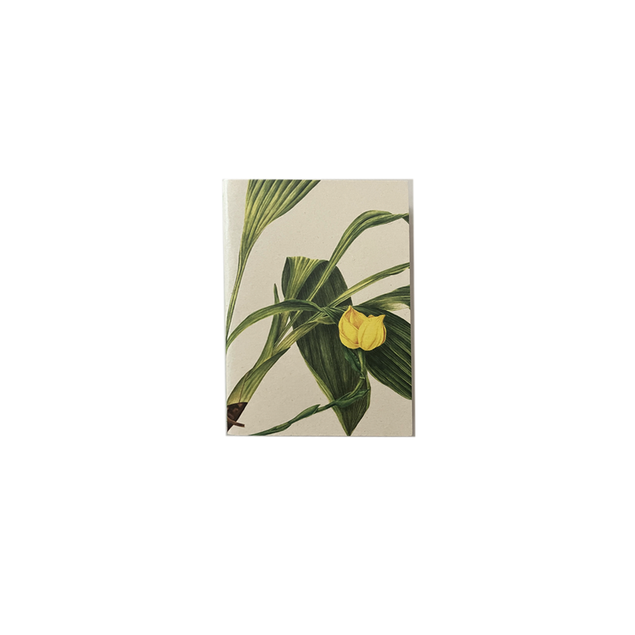 Libreta Pequeña Orquídeas - Lisa Anzellini