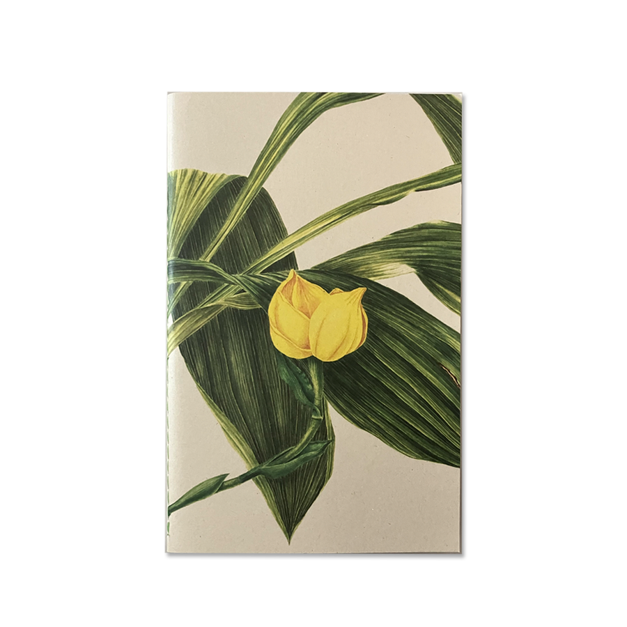 Libreta Grande Orquídeas - Lisa Anzellini