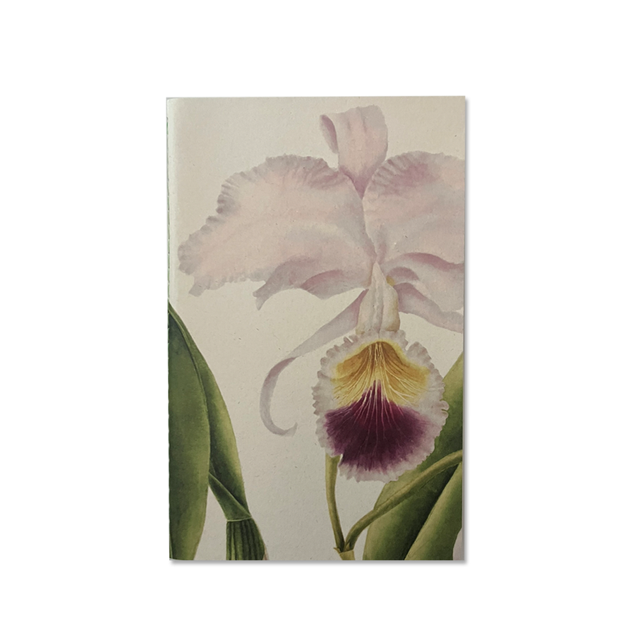 Libreta Grande Orquídeas - Lisa Anzellini