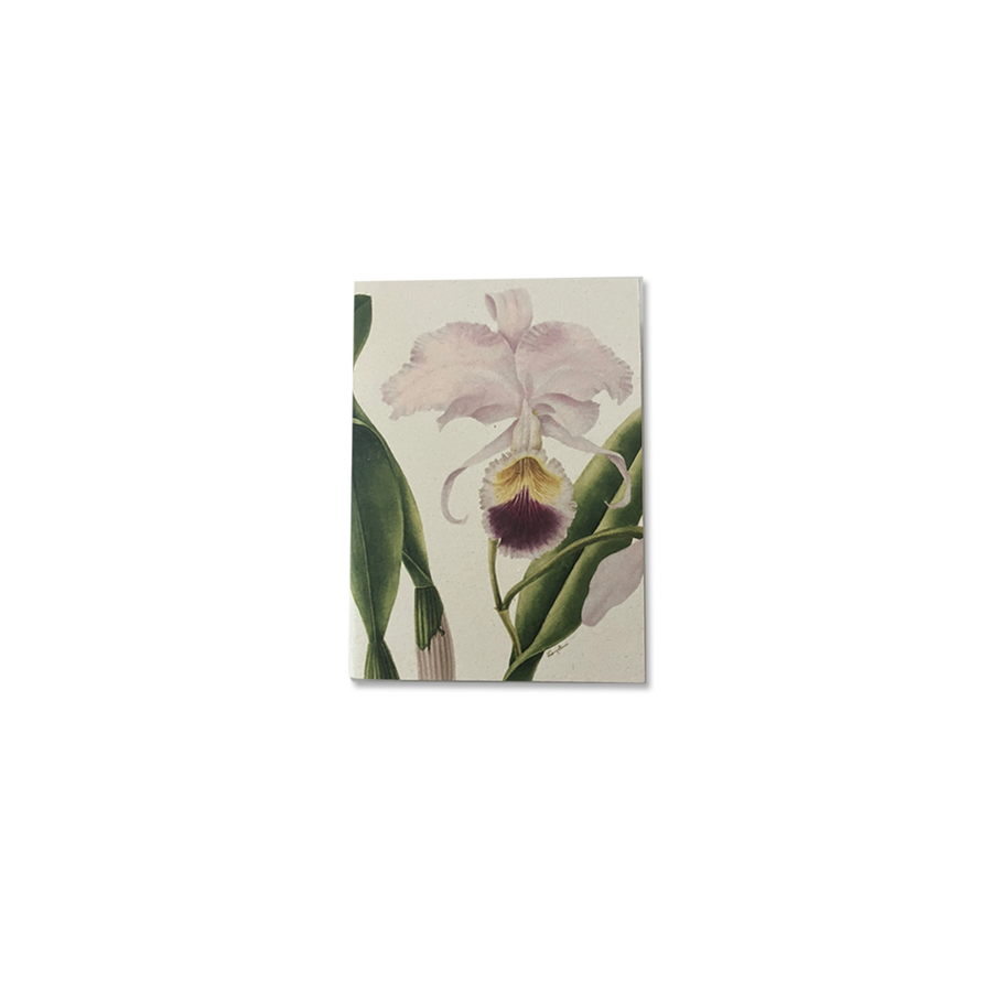 Libreta Pequeña Orquídeas - Lisa Anzellini